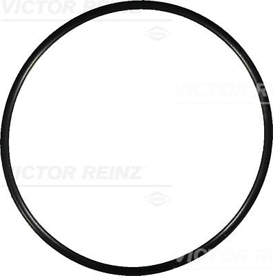Кольцо уплотнительное VICTOR REINZ 407676620