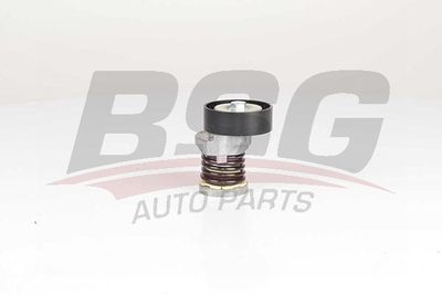 Натяжитель приводного ремня BSG BSG90615050
