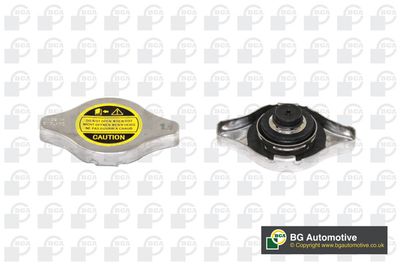 Крышка бачка расширительного BGA CC3024