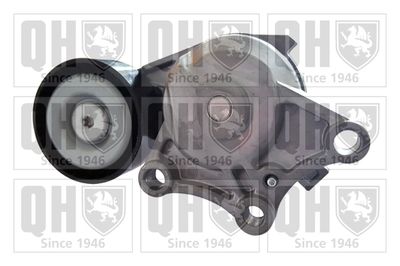 Ролик поликлинового ремня натяжной CITROEN/PEUGEOT 1631481580