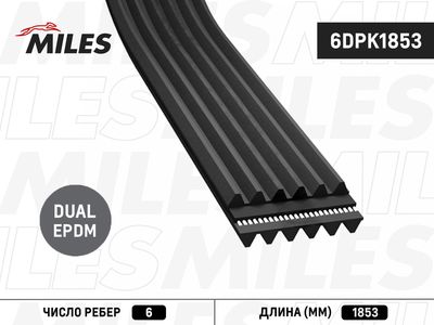 Ремень поликлиновой Miles 6DPK1853