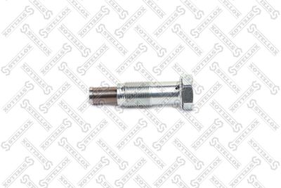 Натяжитель цепи ГРМ CITROEN/PEUGEOT 9824831480