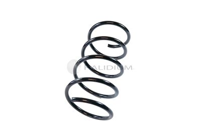 Пружина передняя STANDARD SPRINGS ST120001F