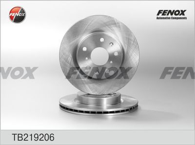 Диск тормозной передний FENOX TB219206