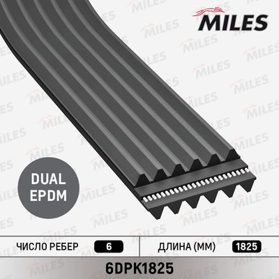 Ремень поликлиновой Miles 6DPK1825