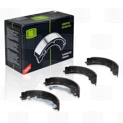 Колодки тормозные барабанные TRIALLI GF1405