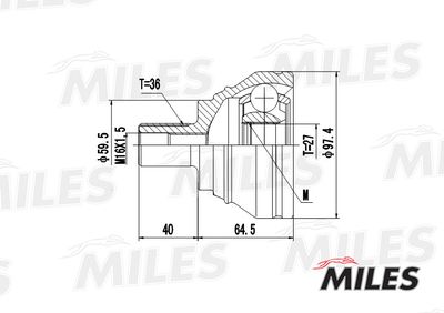 ШРУС наружный Miles GA20026
