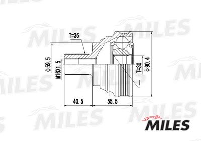 ШРУС наружный Miles GA20025