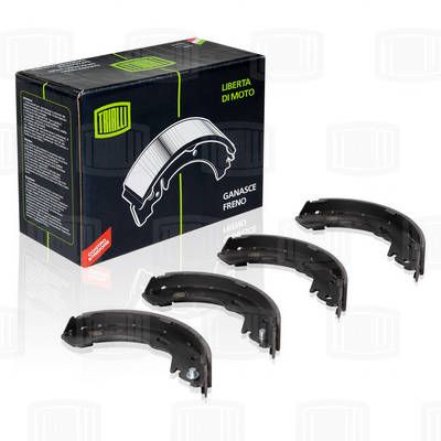 Колодки тормозные барабанные TRIALLI GF2501
