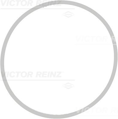Прокладка впускного коллектора VICTOR REINZ 713940900