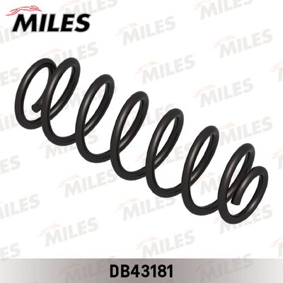 Пружина подвески задняя Miles DB43181