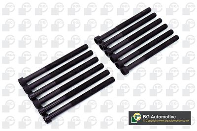 Болты ГБЦ комплект BGA BK3345