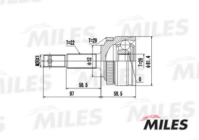 ШРУС наружный Miles GA20358