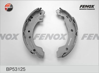 Колодки тормозные барабанные FENOX BP53125
