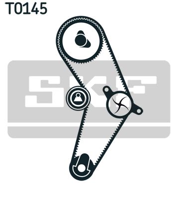 Ремкомплект ГРМ SKF VKMA01113