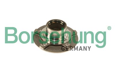 Ступица колеса Borsehung B18957