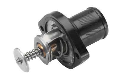 Термостат Wahler 348389D