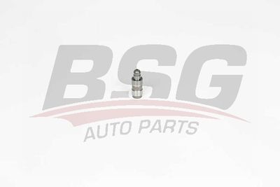Гидрокомпенсатор BSG BSG90122019