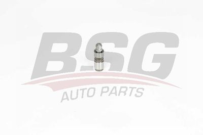 Гидрокомпенсатор BSG BSG15122023