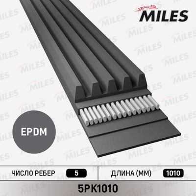 Ремень поликлиновой Miles 5PK1010