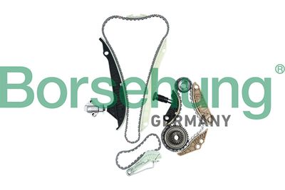 Комплект цепи ГРМ Borsehung B16298
