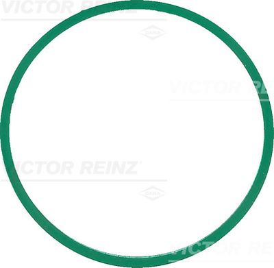 Прокладка впускного коллектора VICTOR REINZ 407758600