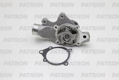 Насос водяной PATRON PWP7136