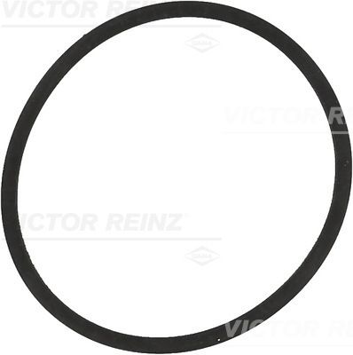 Прокладка впускного коллектора VICTOR REINZ 713420400