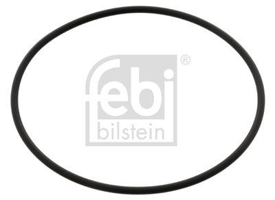 Прокладка насоса водяного FEBI 04745
