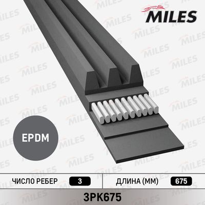 Ремень поликлиновой Miles 3PK675