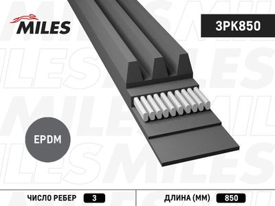 Ремень поликлиновой Miles 3PK850