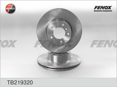 Диск тормозной передний FENOX TB219320