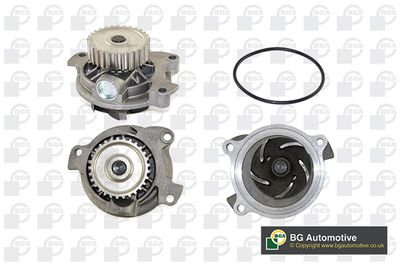 Насос водяной BGA CP18558