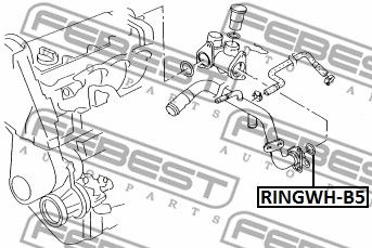 Кольцо уплотнительное системы охлаждения FEBEST RINGWHB5