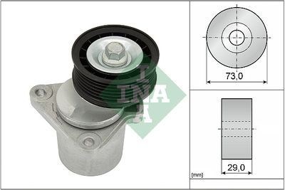 Натяжитель ремня INA 534012820