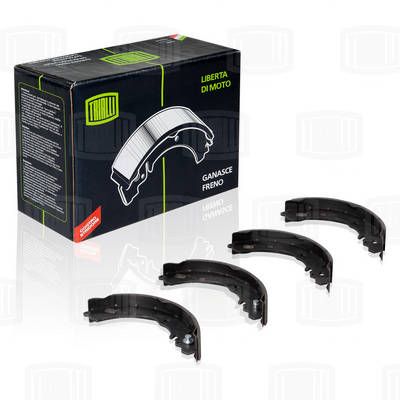 Колодки тормозные барабанные TRIALLI GF1103