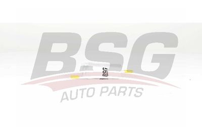 Фильтр топливный BSG BSG90130016