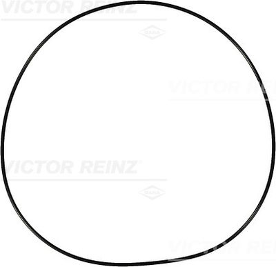 Кольцо уплотнительное VICTOR REINZ 407691500