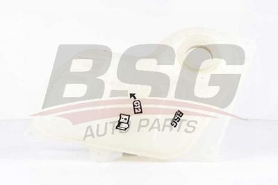 Бачок расширительный BSG BSG90550003