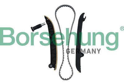 Комплект цепи ГРМ Borsehung B18296