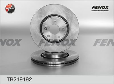 Диск тормозной FENOX TB219192