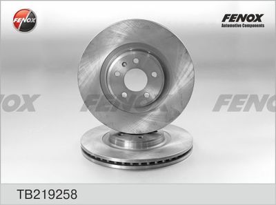 Диск тормозной FENOX TB219258