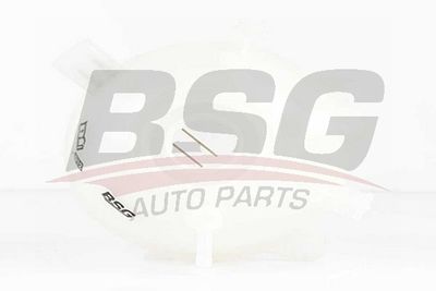 Бачок расширительный BSG BSG90550006