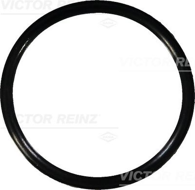 Кольцо уплотнительное VICTOR REINZ 407636700