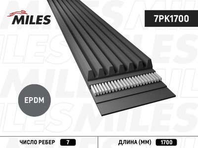 Ремень поликлиновой Miles 7PK1700