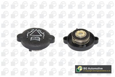 Крышка бачка расширительного BGA CC3017