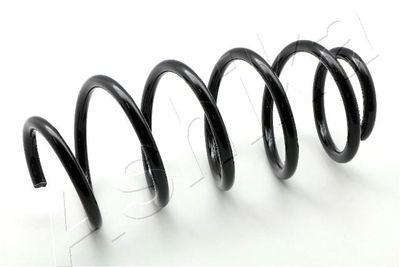 Пружина передняя STANDARD SPRINGS ST130040F