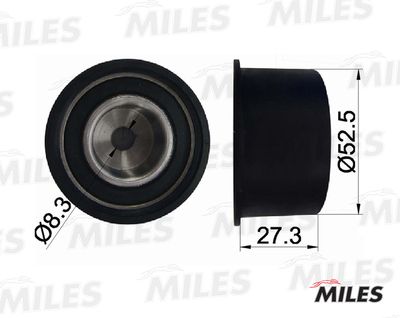 Ролик ремня ГРМ Miles AG02020
