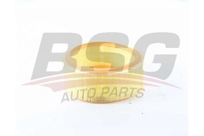 Фильтр воздушный BSG BSG75135006