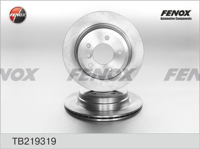 Диск тормозной задний FENOX TB219319